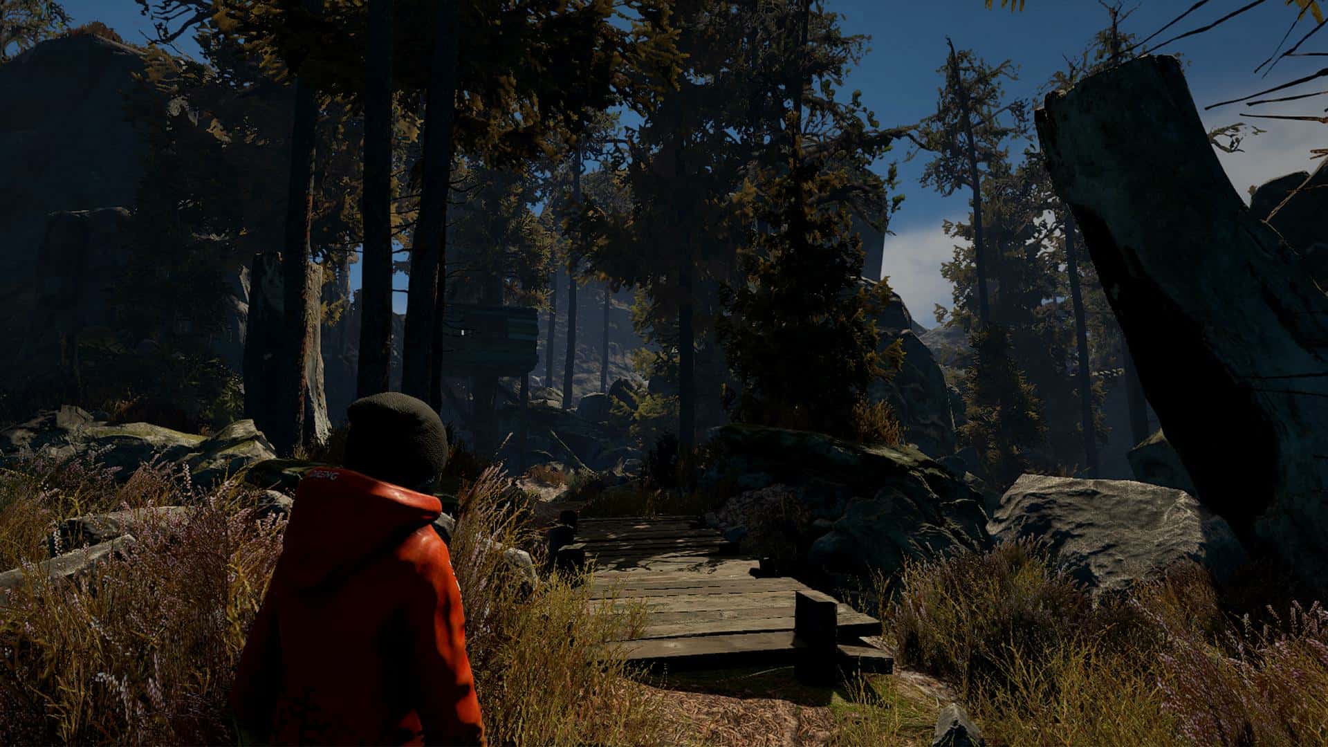 #3. Through the Woods: Collector's Edition Upgrade (GOG) 由: Fulqrum Publishing