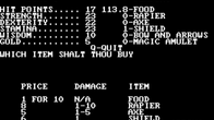 Akalabeth: World of Doom screenshot 10