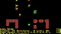 Wizard's Crown screenshot 7