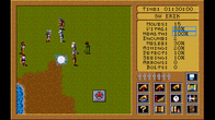 Paladin 2 screenshot 5