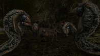 Gothic 2 Gold Edition screenshot 5