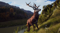 Way of the Hunter screenshot 8