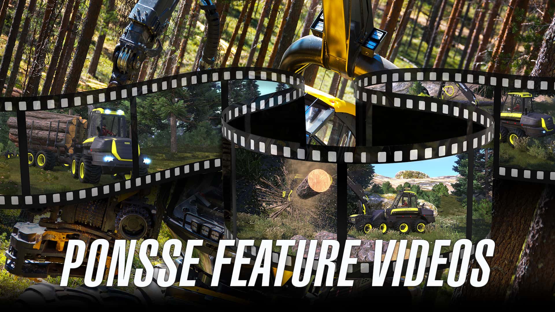 #4. Lumberjack's Dynasty - Digital Supporter Pack (GOG) 게시자: Toplitz Productions