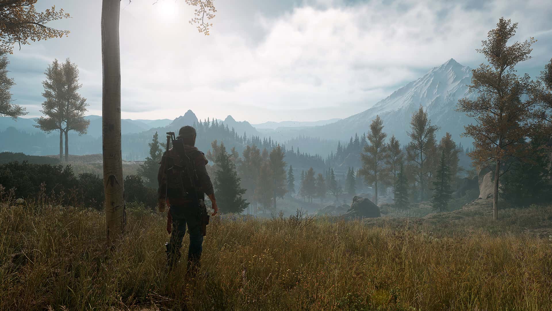 #5. Days Gone (GOG) بواسطة: PlayStation PC LLC