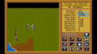 Paladin 2 screenshot 1