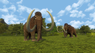 Dawn of Man screenshot 1
