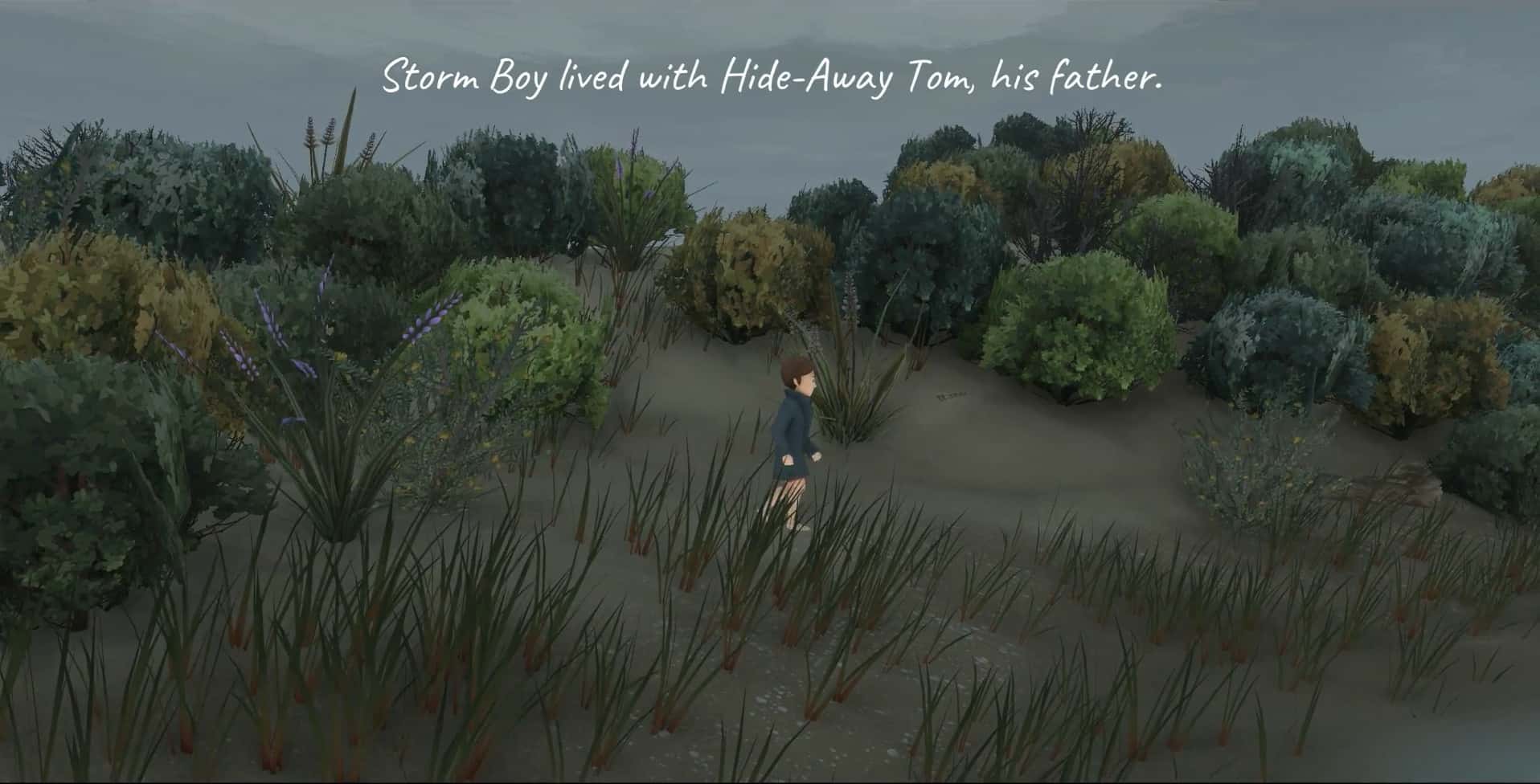 #1. Storm Boy (GOG) di: Blowfish Studios