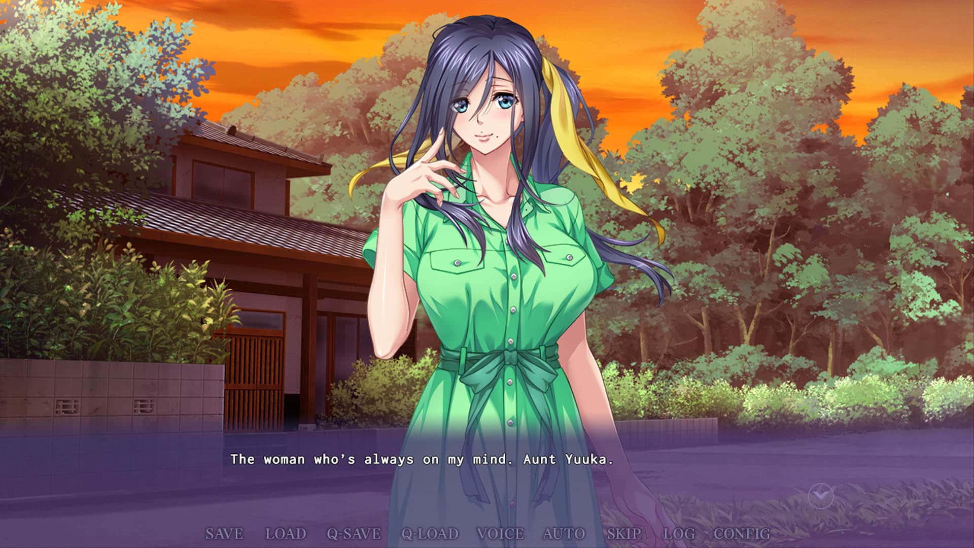 #2. An Aunt After My Own Heart UNRATED (GOG) 由: Shiravune