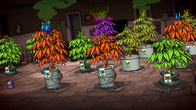Weedcraft Inc screenshot 9