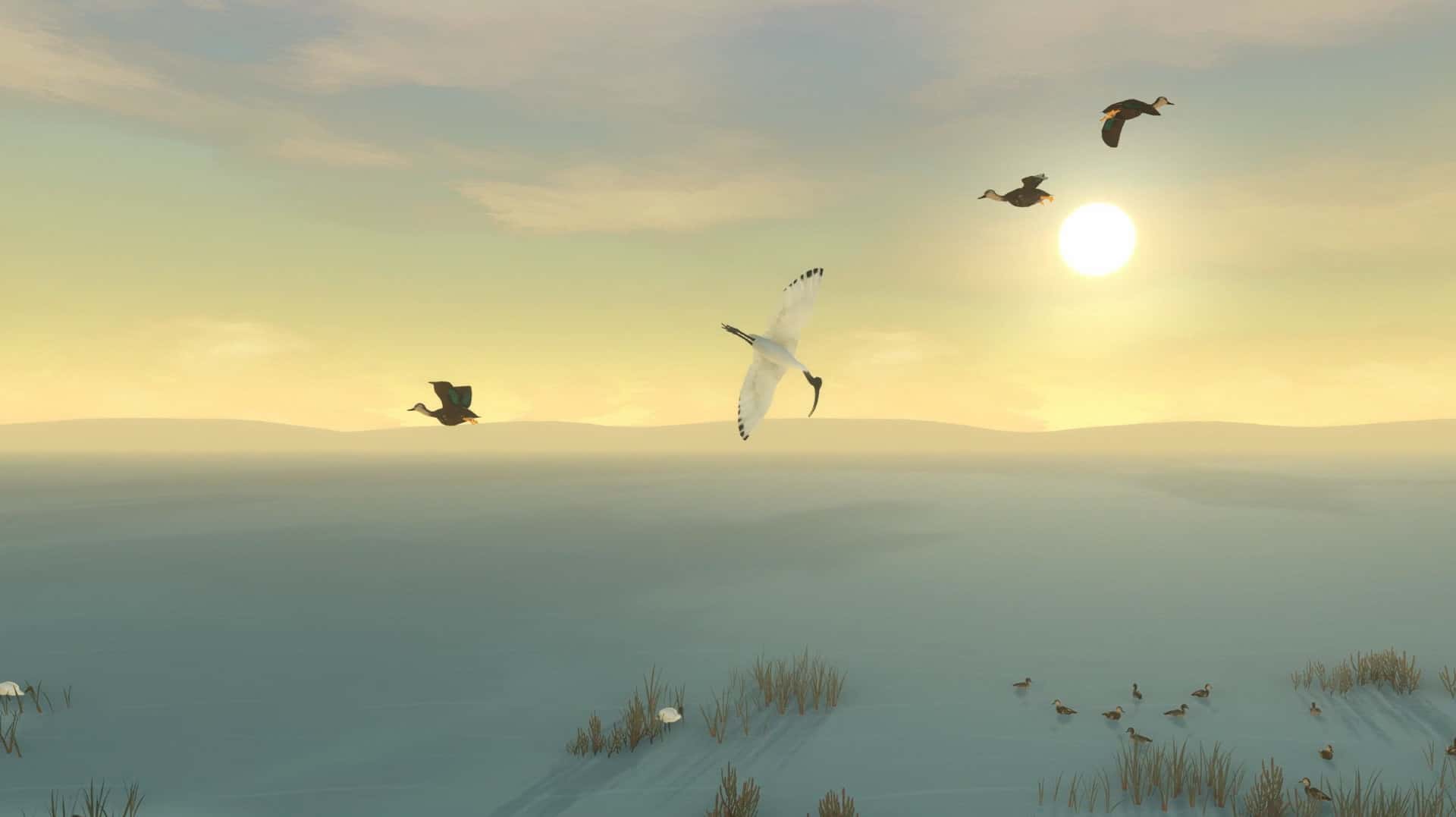 #3. Storm Boy (GOG) di: Blowfish Studios