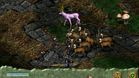Lords of Magic: Special Edition screenshot 11