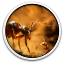 Empire of the Ants - Digital Deluxe Upgrade