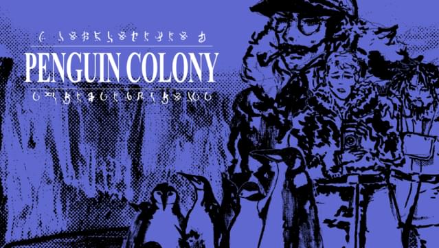 Penguin Colony