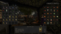 The Chronicles Of Myrtana: Archolos screenshot 8