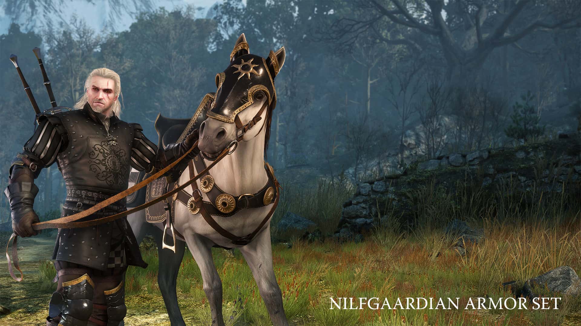 #6. The Witcher 3: Wild Hunt - Free DLC Program (GOG) โดย: CD PROJEKT RED