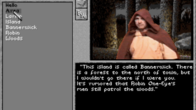 Prophecy of the Shadow screenshot 3