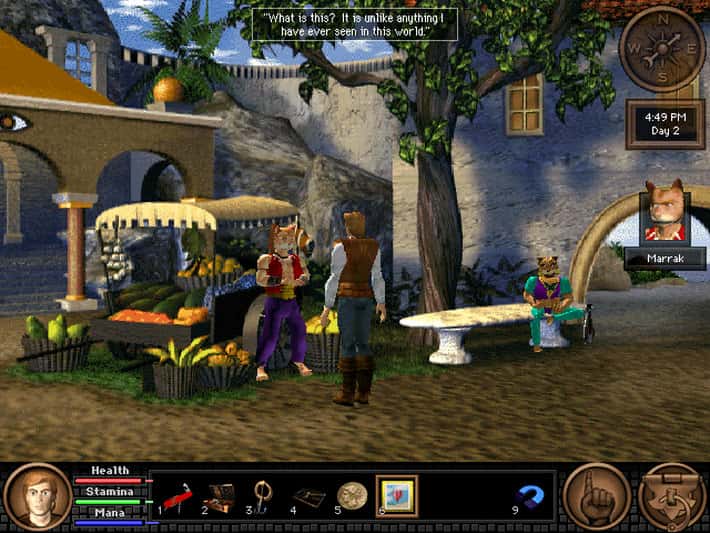 #5. Quest for Glory 1-5 (GOG) От: Activision