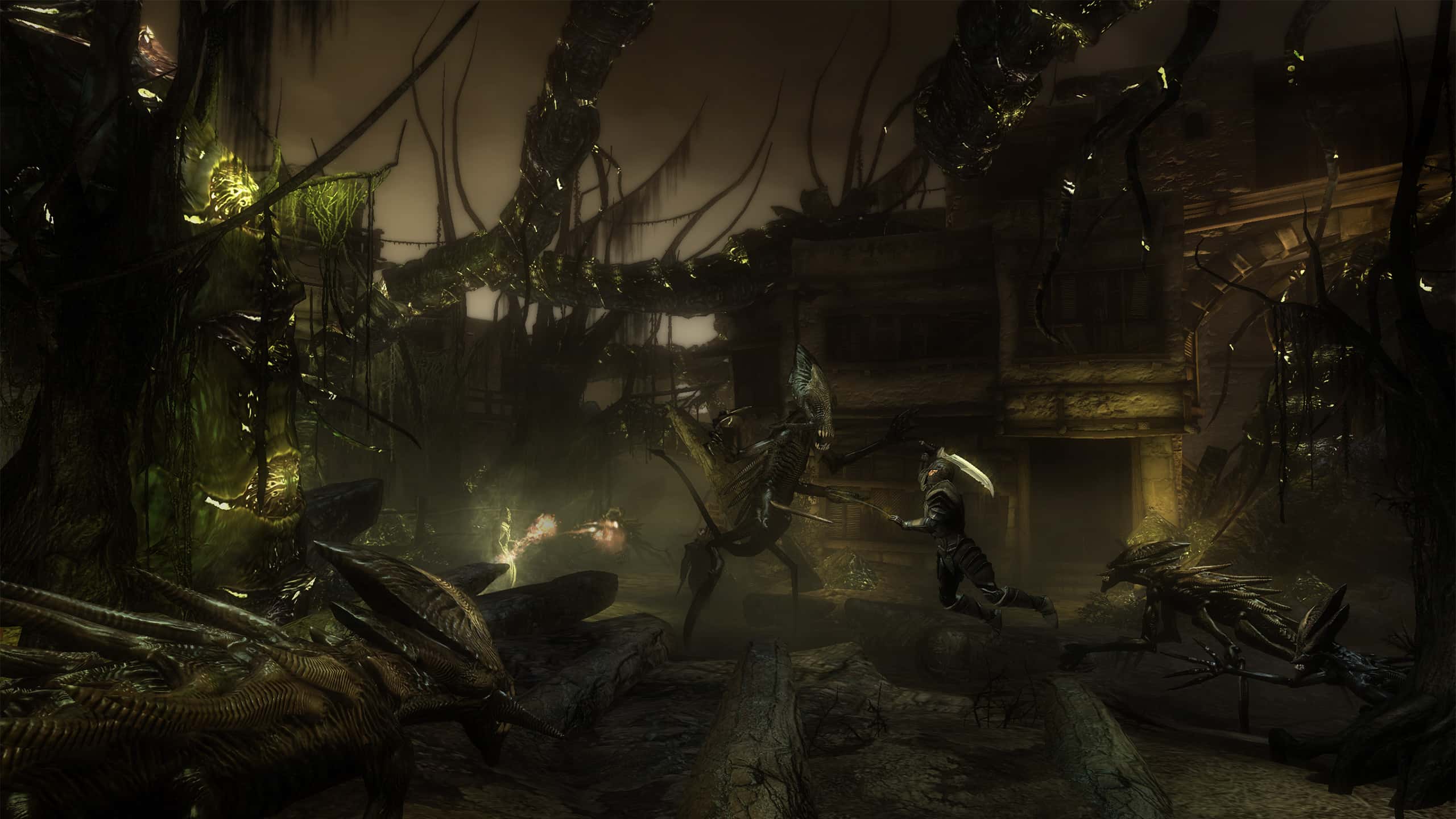 #3. Two Worlds II: Call of the Tenebrae (GOG) 由: TopWare Interactive