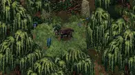 Drova II - Torn Lands screenshot 1