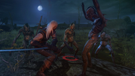 The Witcher: Enhanced Edition screenshot 11
