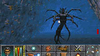 The Elder Scrolls II: Daggerfall screenshot 1
