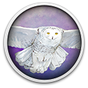 Wingspan: European Expansion