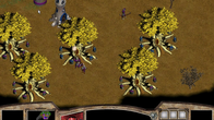 Warlords Battlecry screenshot 7