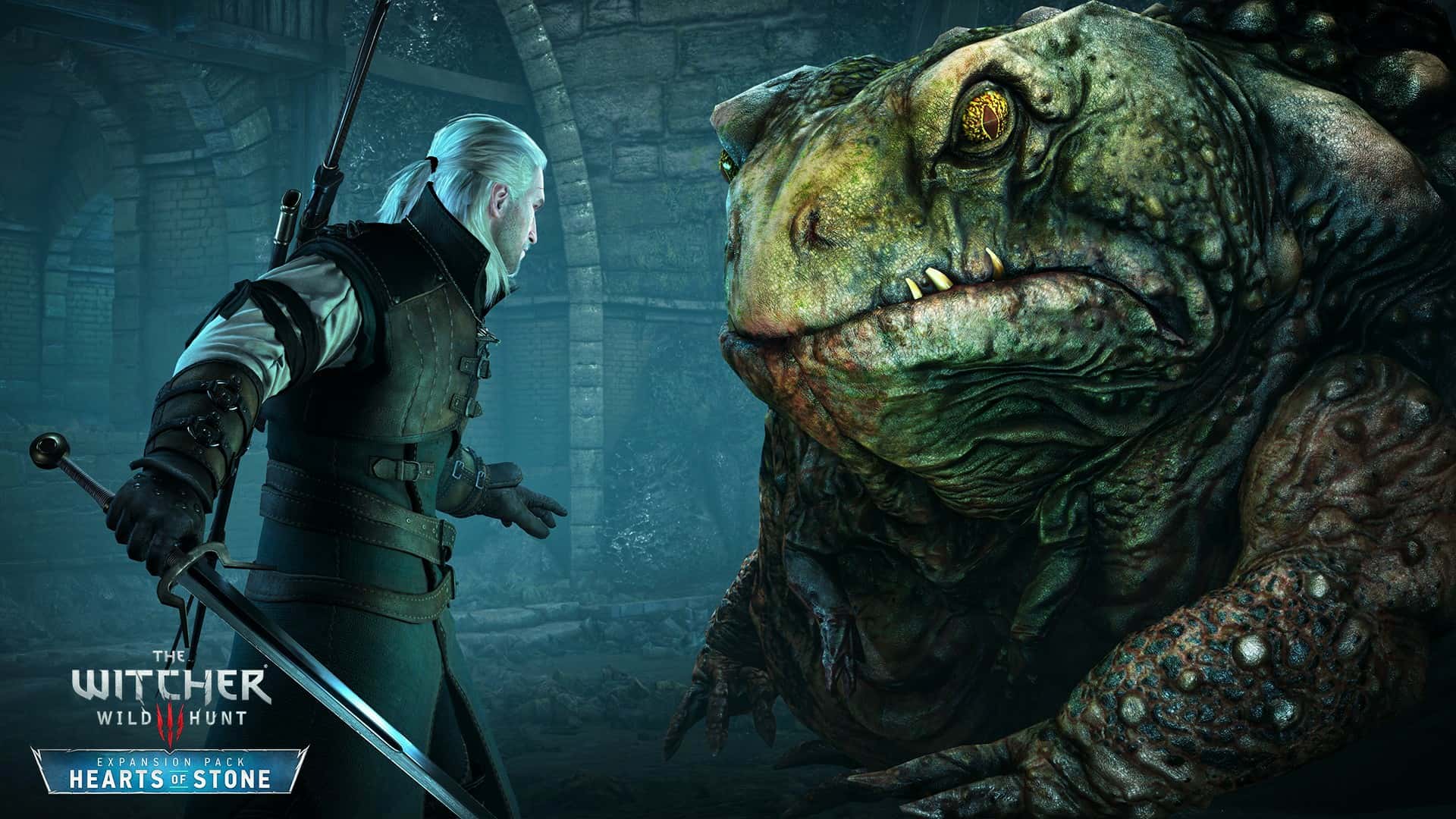 #10. The Witcher 3: Wild Hunt - Complete Edition (GOG) 由: CD PROJEKT RED