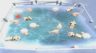 Rayman Raving Rabbids™ screenshot 12