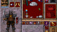 Anvil of Dawn screenshot 12