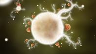 Botanicula screenshot 7