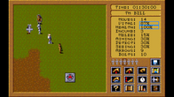 Paladin 2 screenshot 4