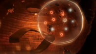 Papetura screenshot 8