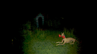 Creature Kitchen screenshot 8