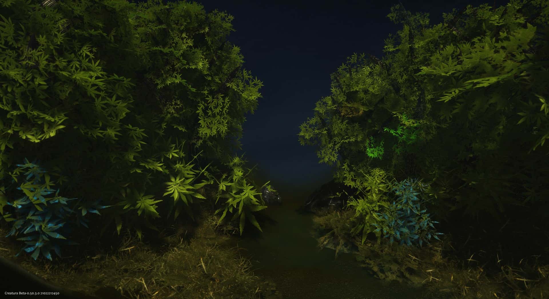 #5. Creatura (GOG) 由: FreeMind S.A.
